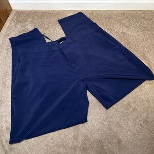 Fabletics Mens tech pants